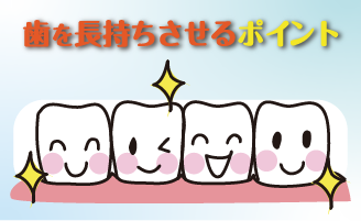 歯を長持ちさせるポイント